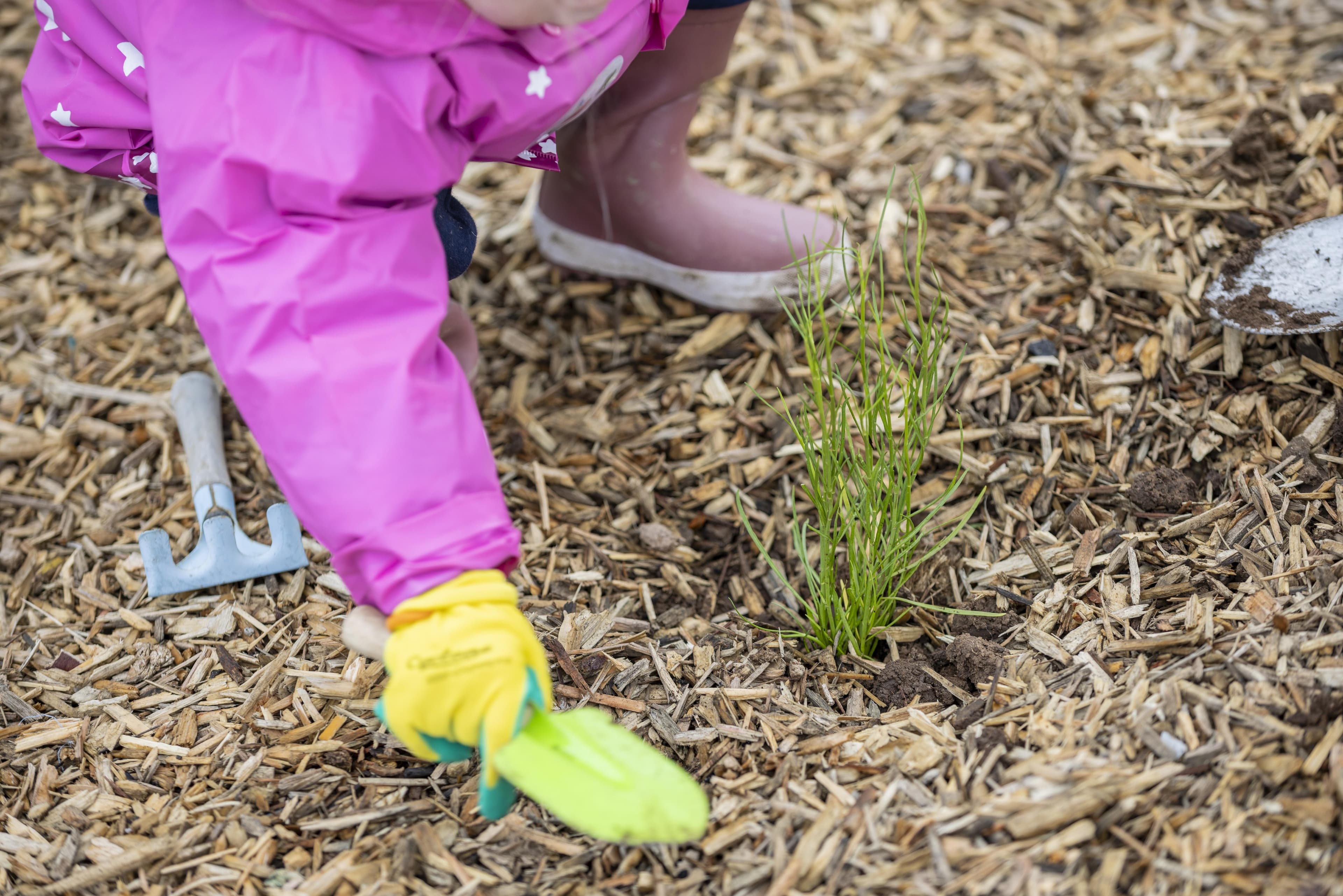 National Tree Day Community Planting Event
