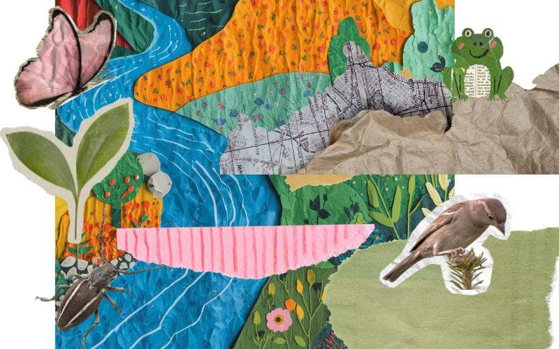 Creek collage: created at the library, exhibited at The Substation |age 5-8