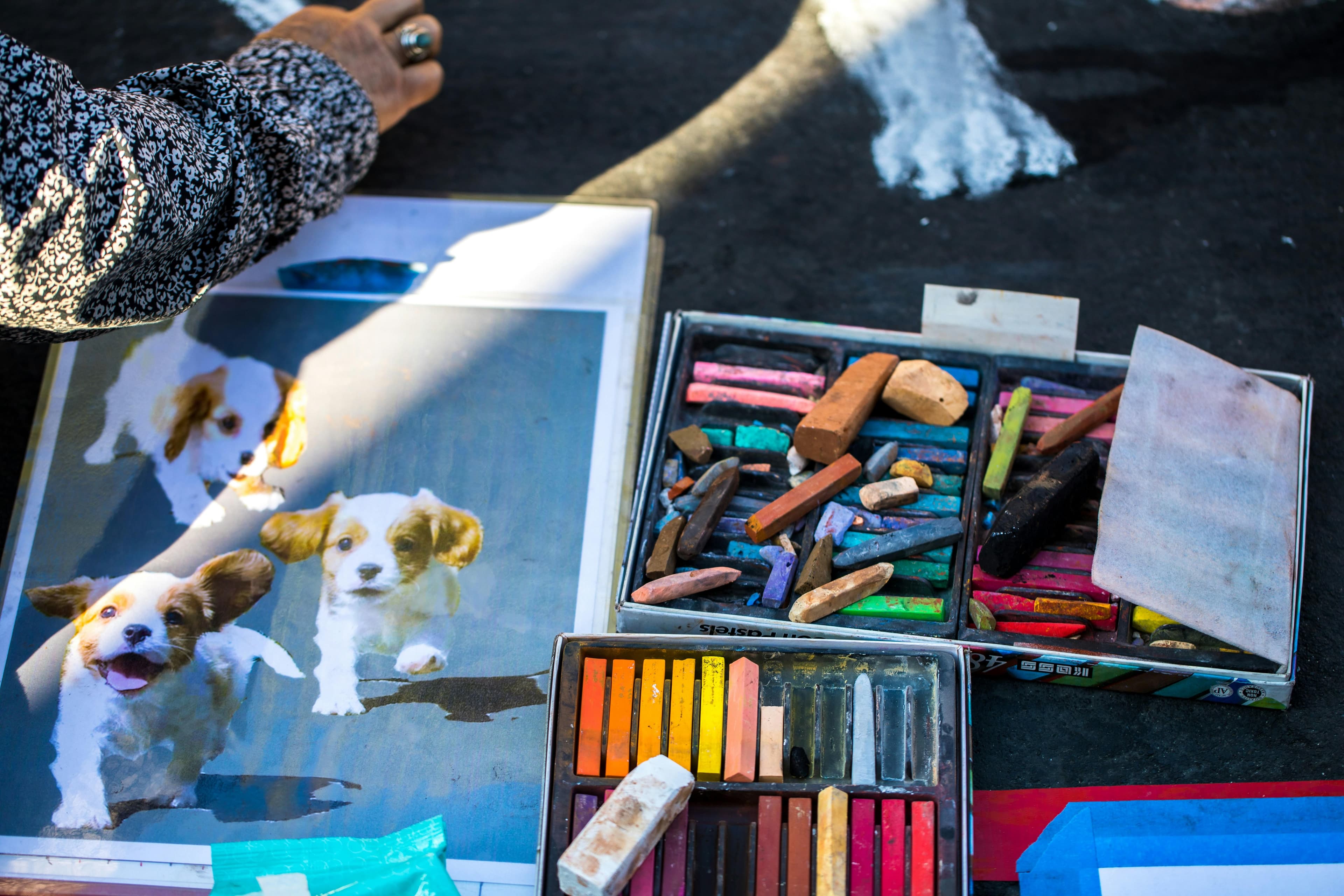 Holiday Workshop: Animal Portraits in Pastel (8 -12 years)