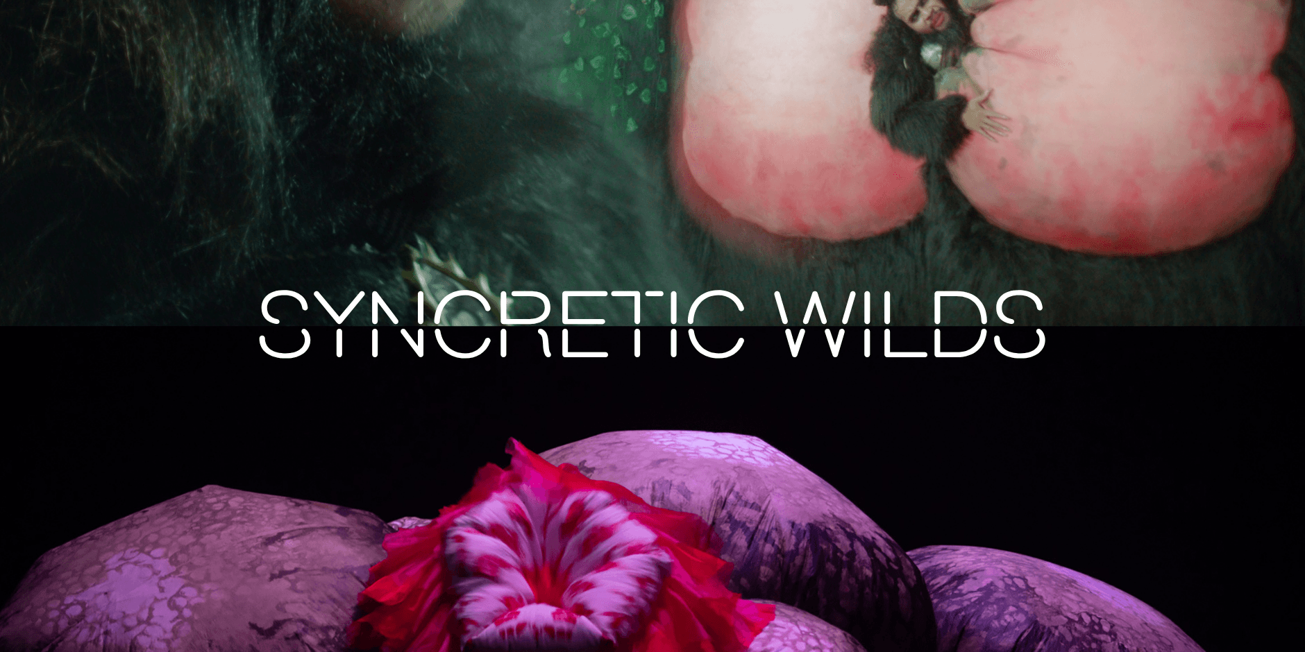 Syncretic Wilds—Curatorial Tours