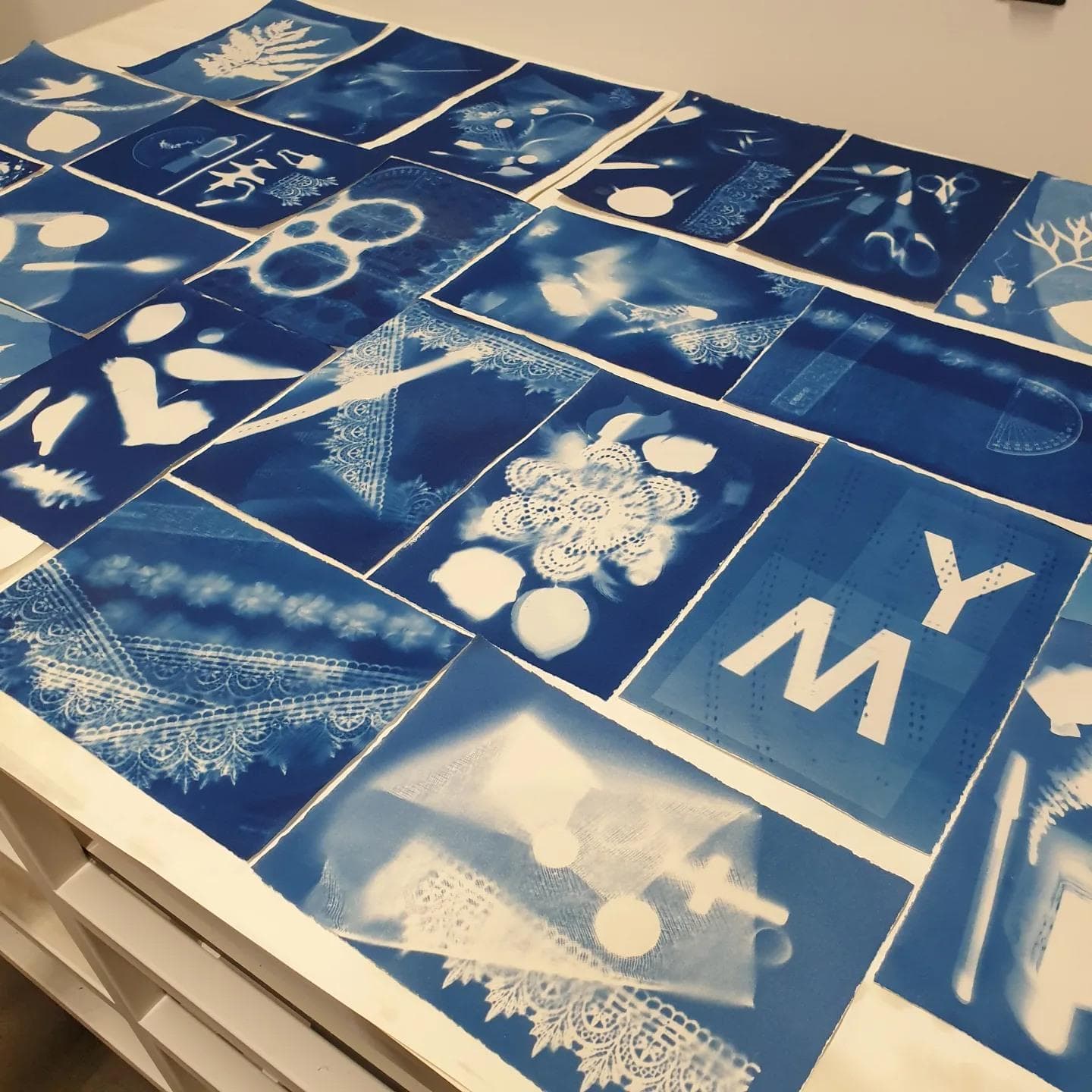 Cyanotypes Printing Workshop