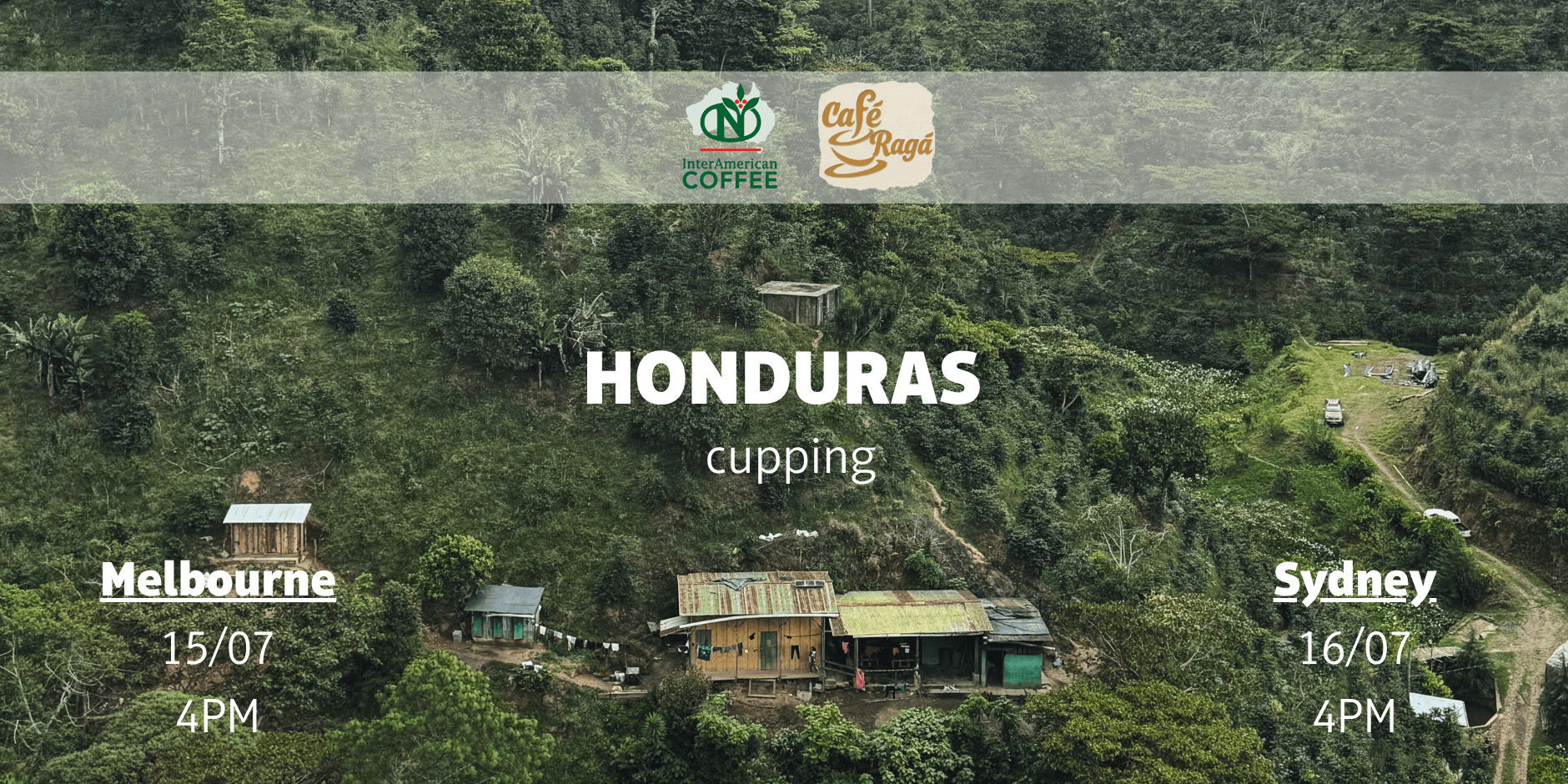 Honduras 2026 New Season Cupping