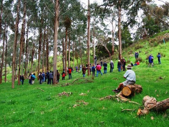 Mornington Peninsula Agroecology Excursion - Bambra Agroforestry