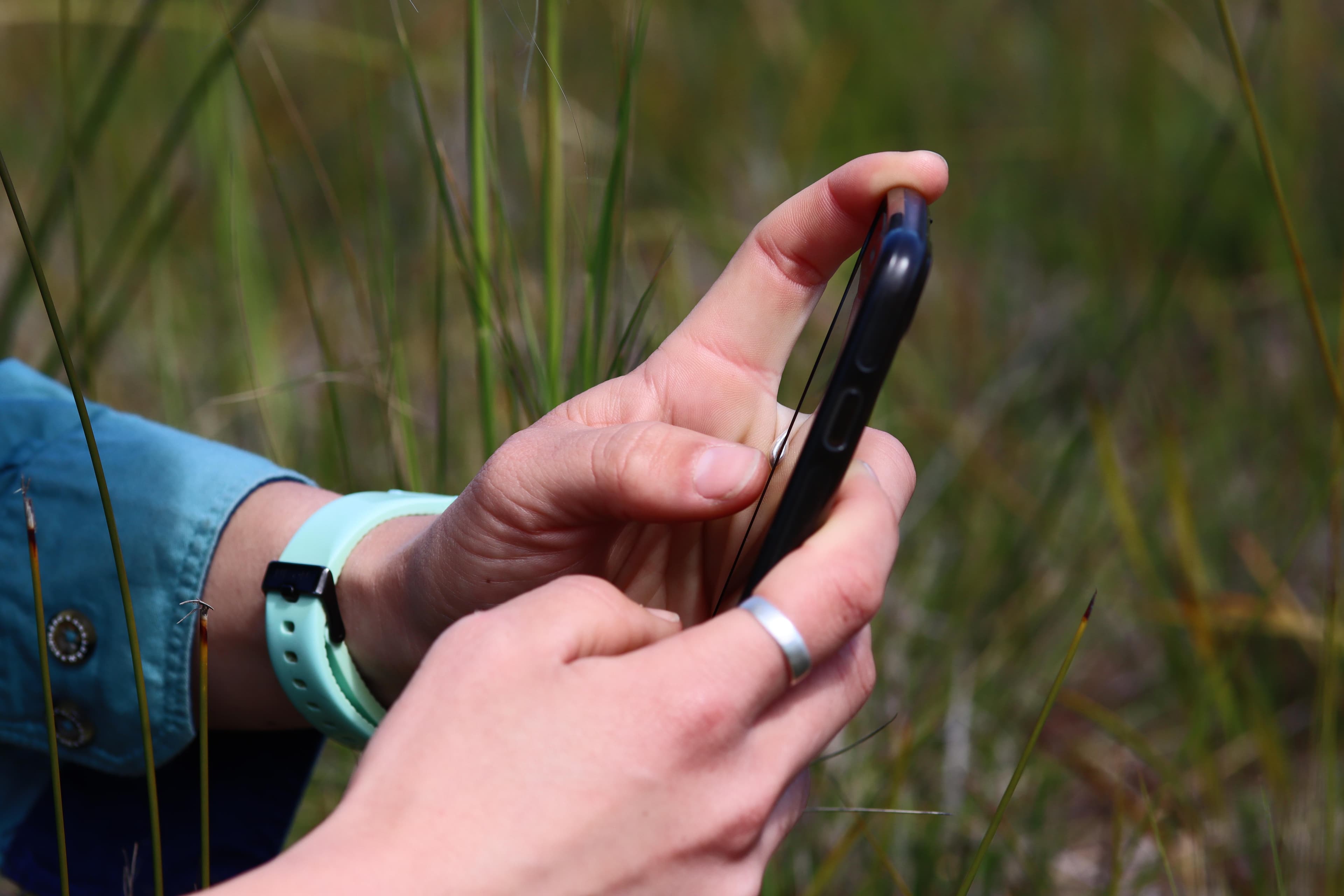 Saturday Guided Walk - Lorna's Triangle Bushland Reserve