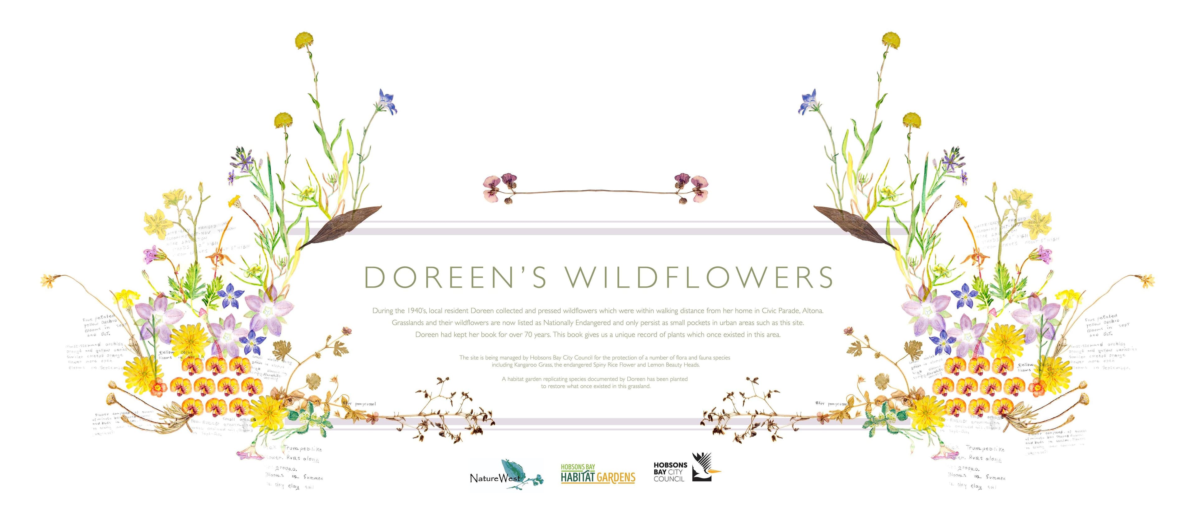 Doreen’s Grassland: Past, Present and Future