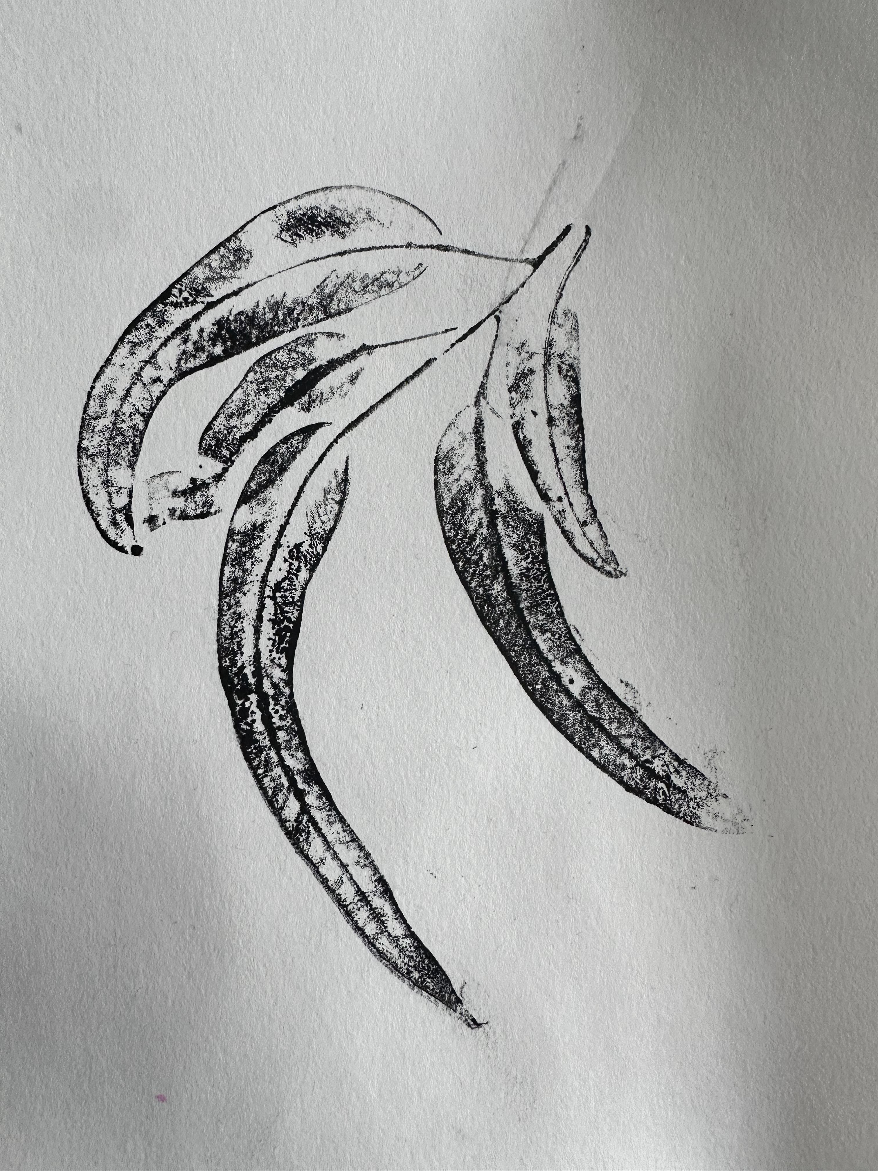 Holiday Workshop: Nature Print Making (8-12 years)