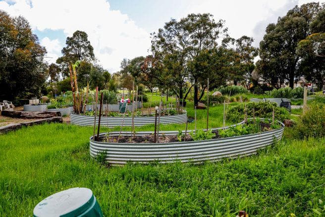 Westemeadows Indigenous and Community Garden Open Day and Working Bee