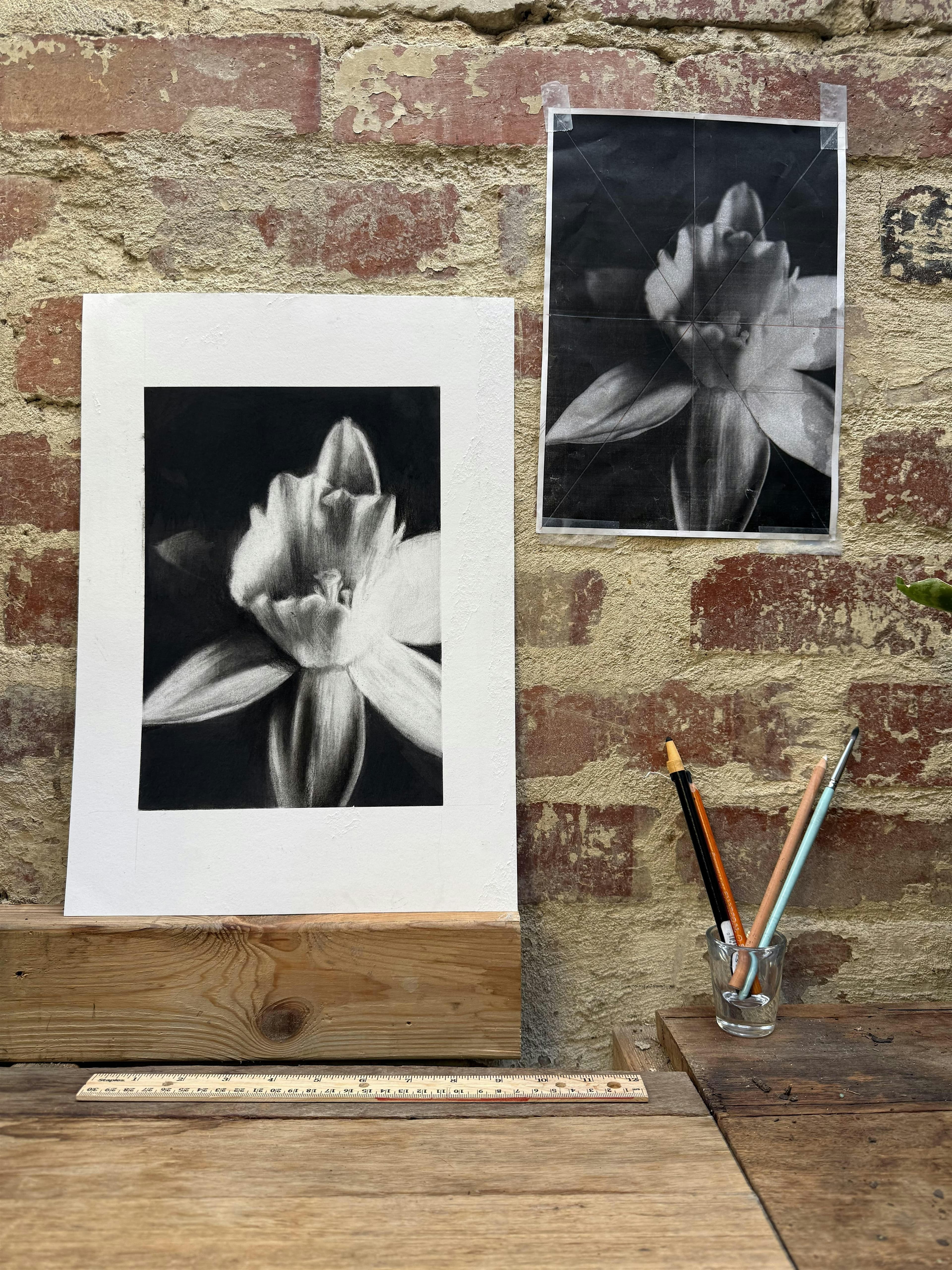 Drawing in Charcoal: Light, Shadow & Form