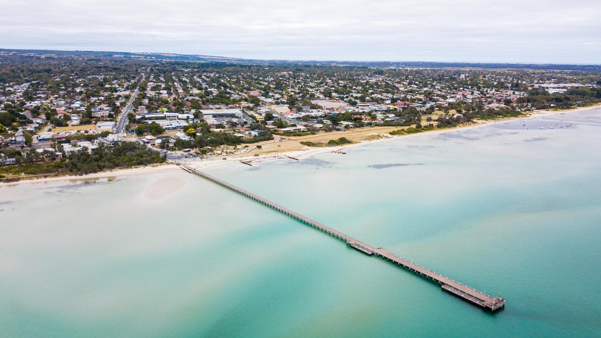 Community Election Forum - Nepean (In person)