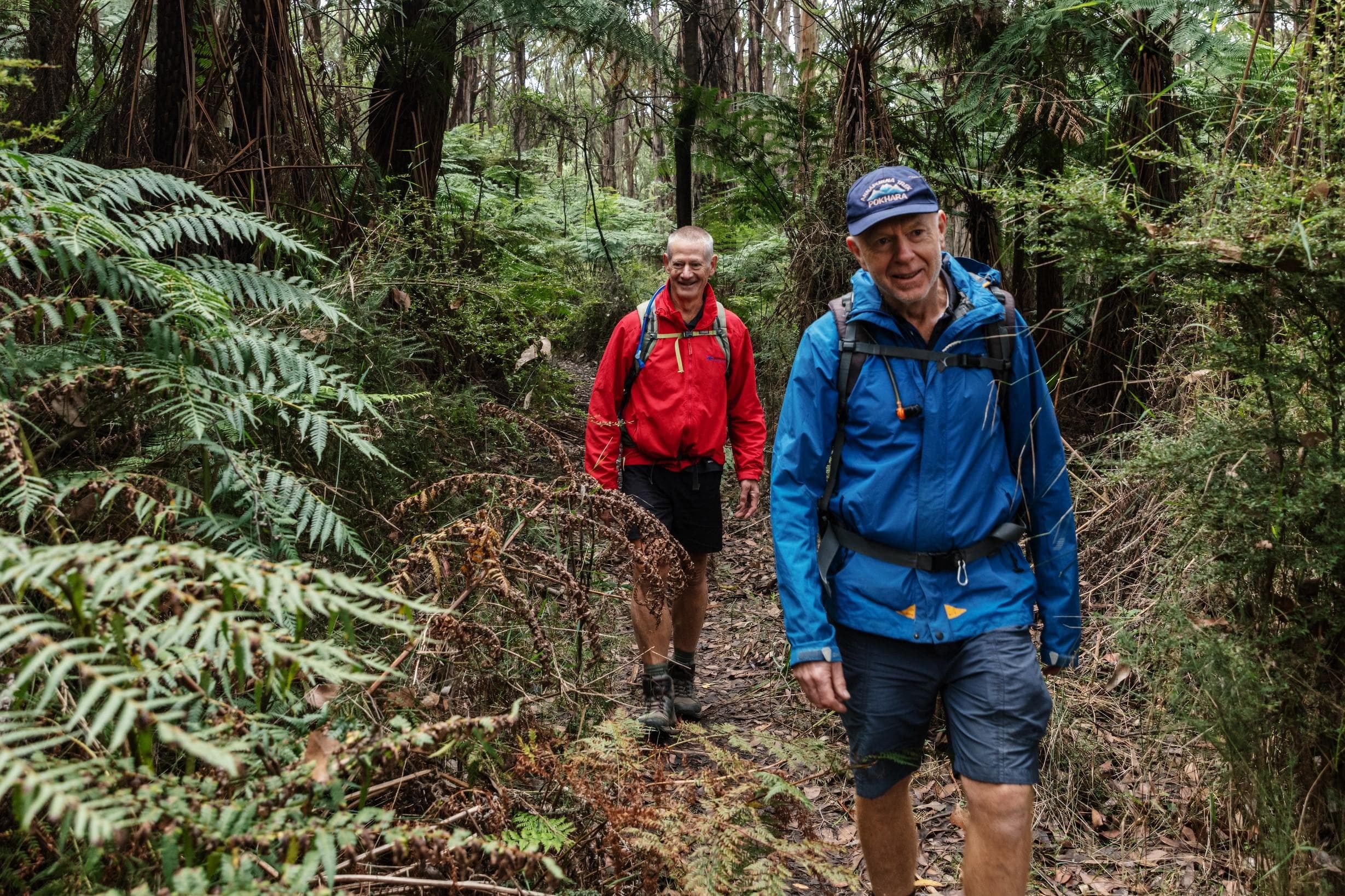Macedon Sanatorium Eco Trail Park Walk