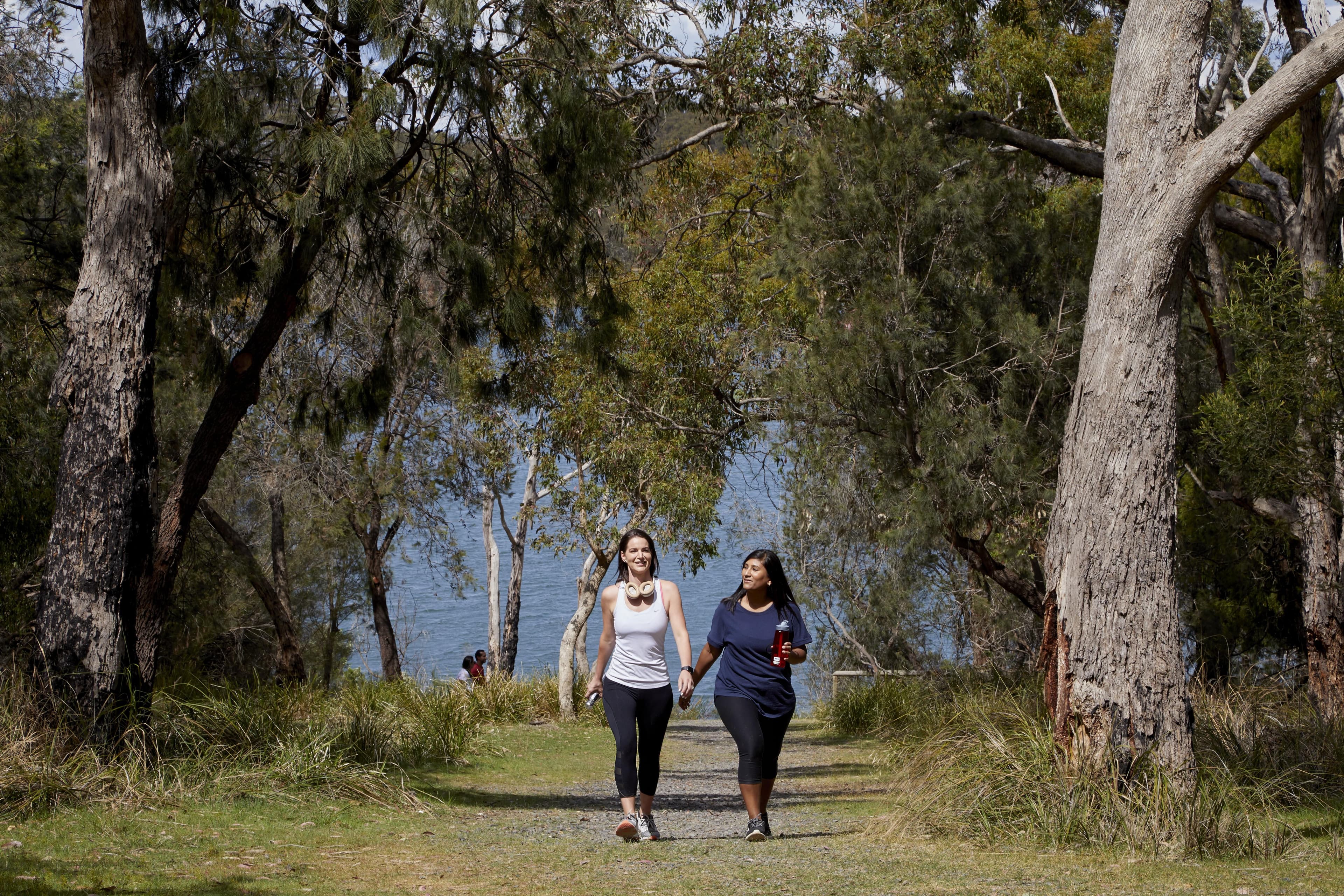 Lysterfield Lake Park Walk