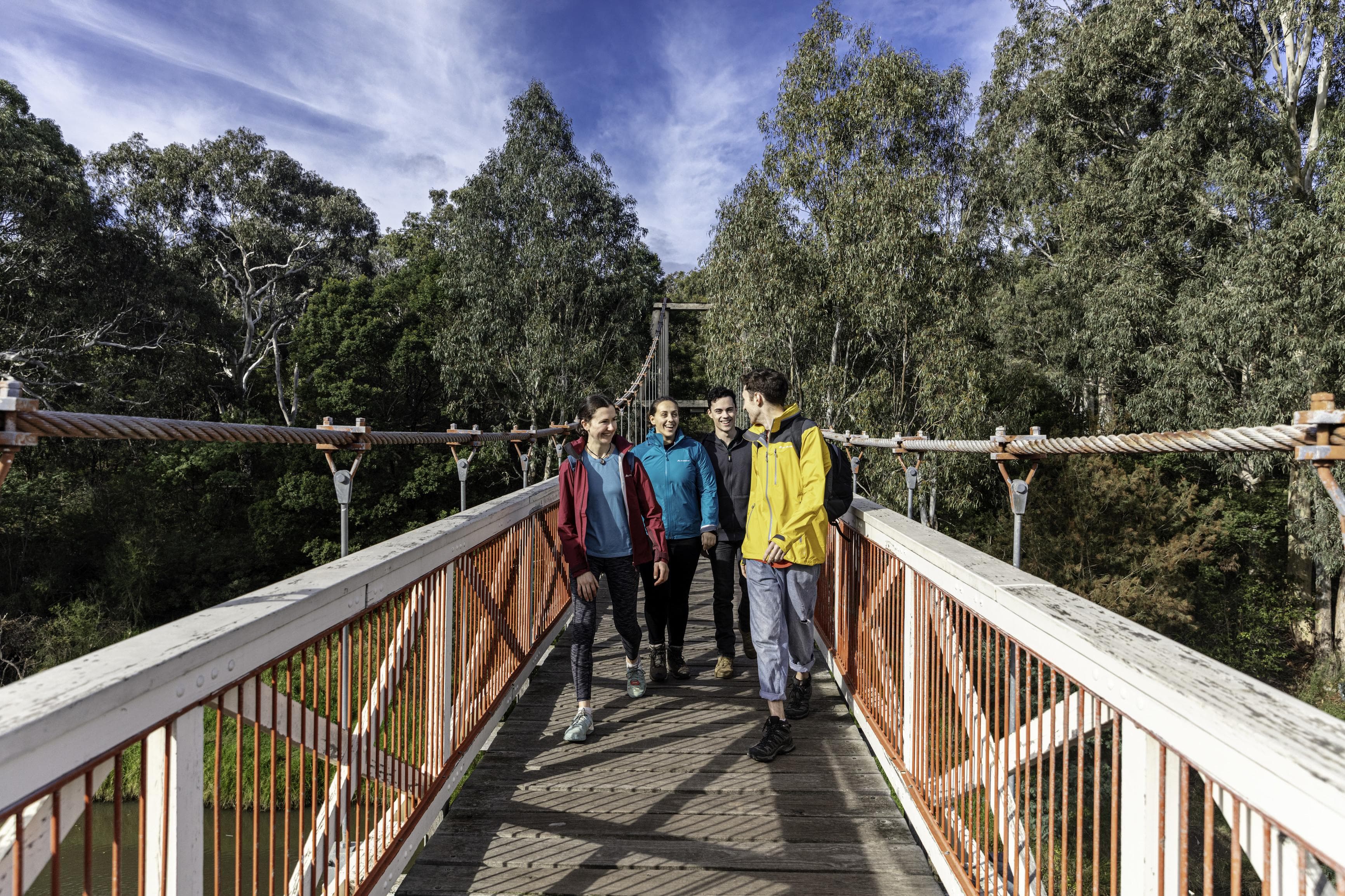 Yarra Bend Park Walk