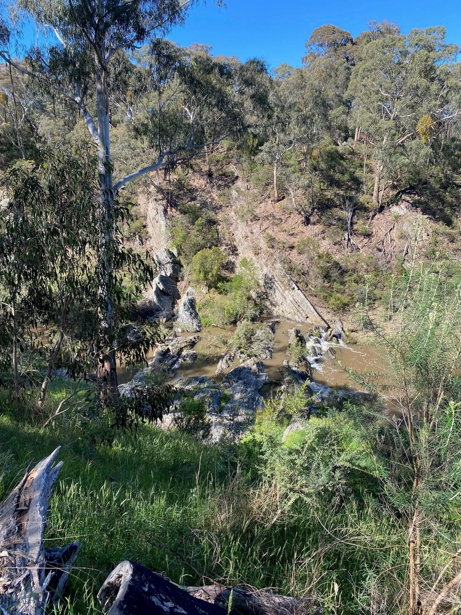 Plenty River Park Walk