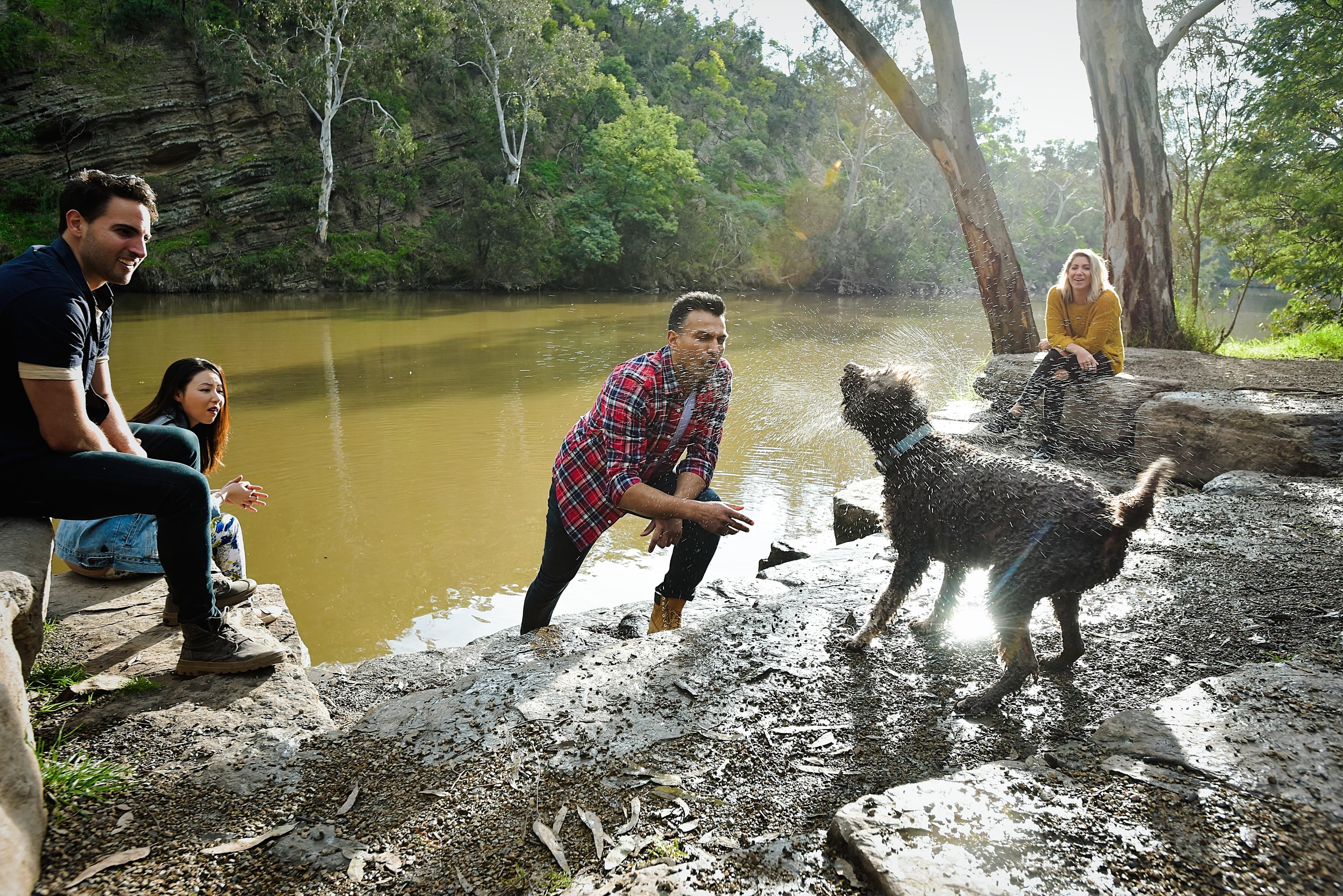 Dog Friendly Park Walk @ Yarra Bend