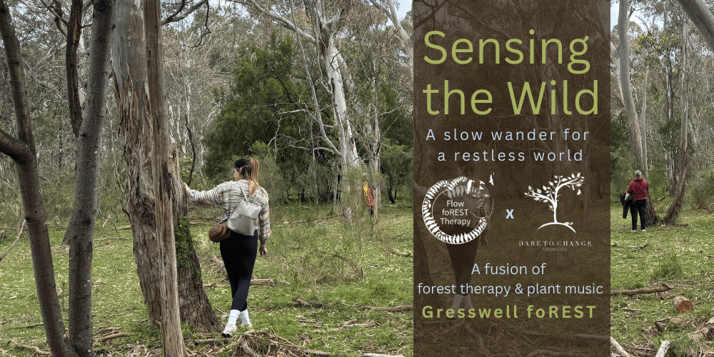 Forest Therapy & Plant Music - LAUNCH at Gresswell Forest