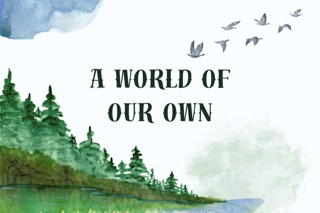 St Vincent de Paul Primary School presents A World of Our Own