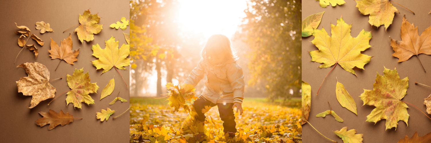 Make a Magical Autumn Wand