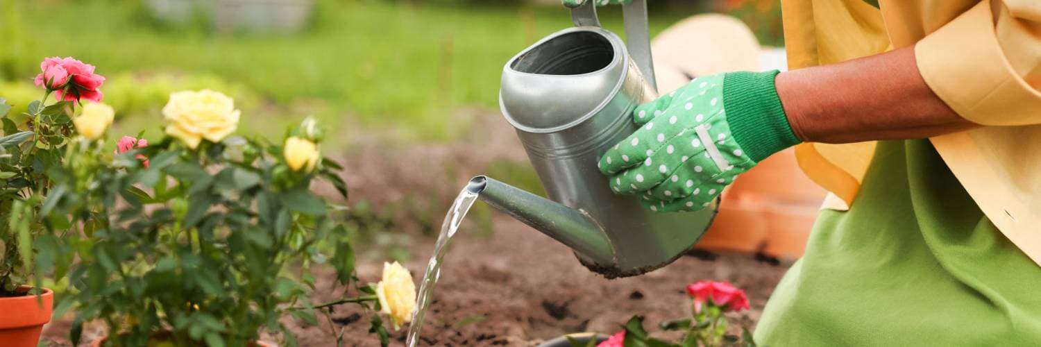 Health and Safety in the Garden