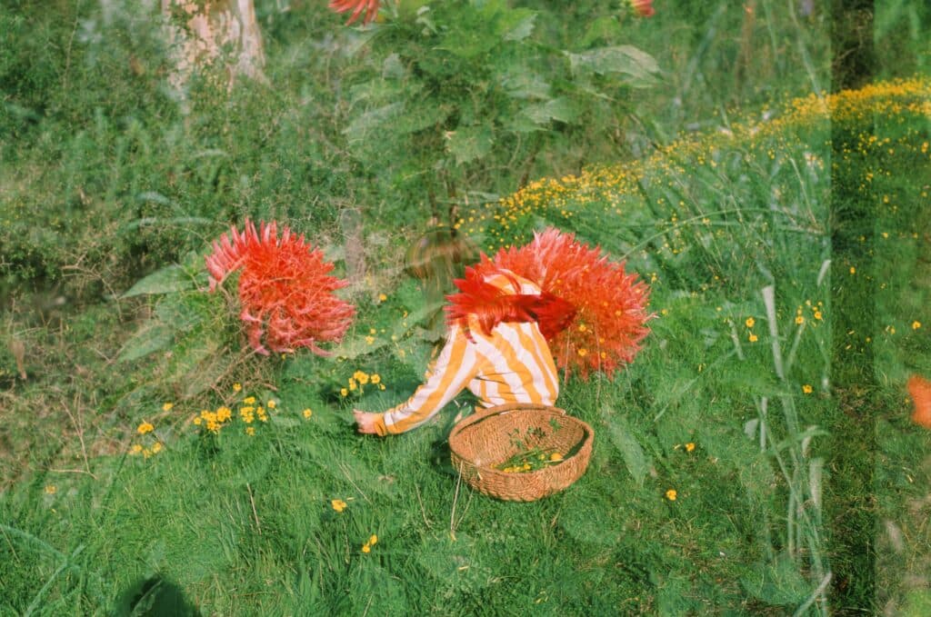 Plant Dye & Painting                                                      with Abbra Kotzlarkzyk