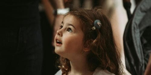 The Melbourne Symphony Orchestra - Peter and the Wolf