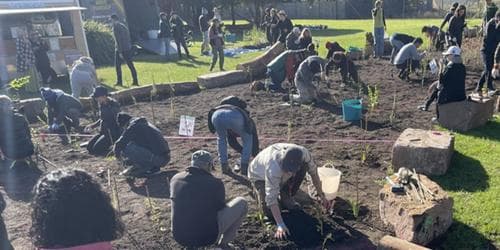 Epping Tiny Forest Planting
