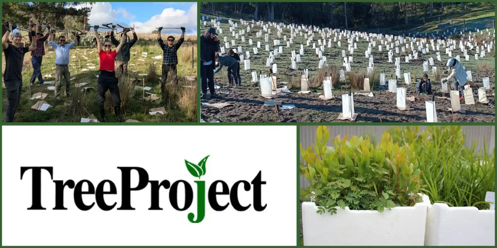 Help plant native seedlings at Dixons Creek (11)