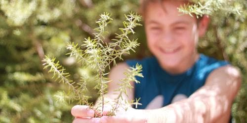 Plant party: Propagation for kids and grown-ups!