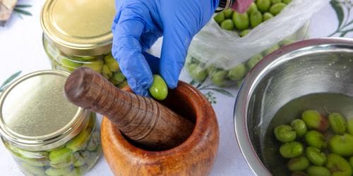 Olive Pickling Workshop