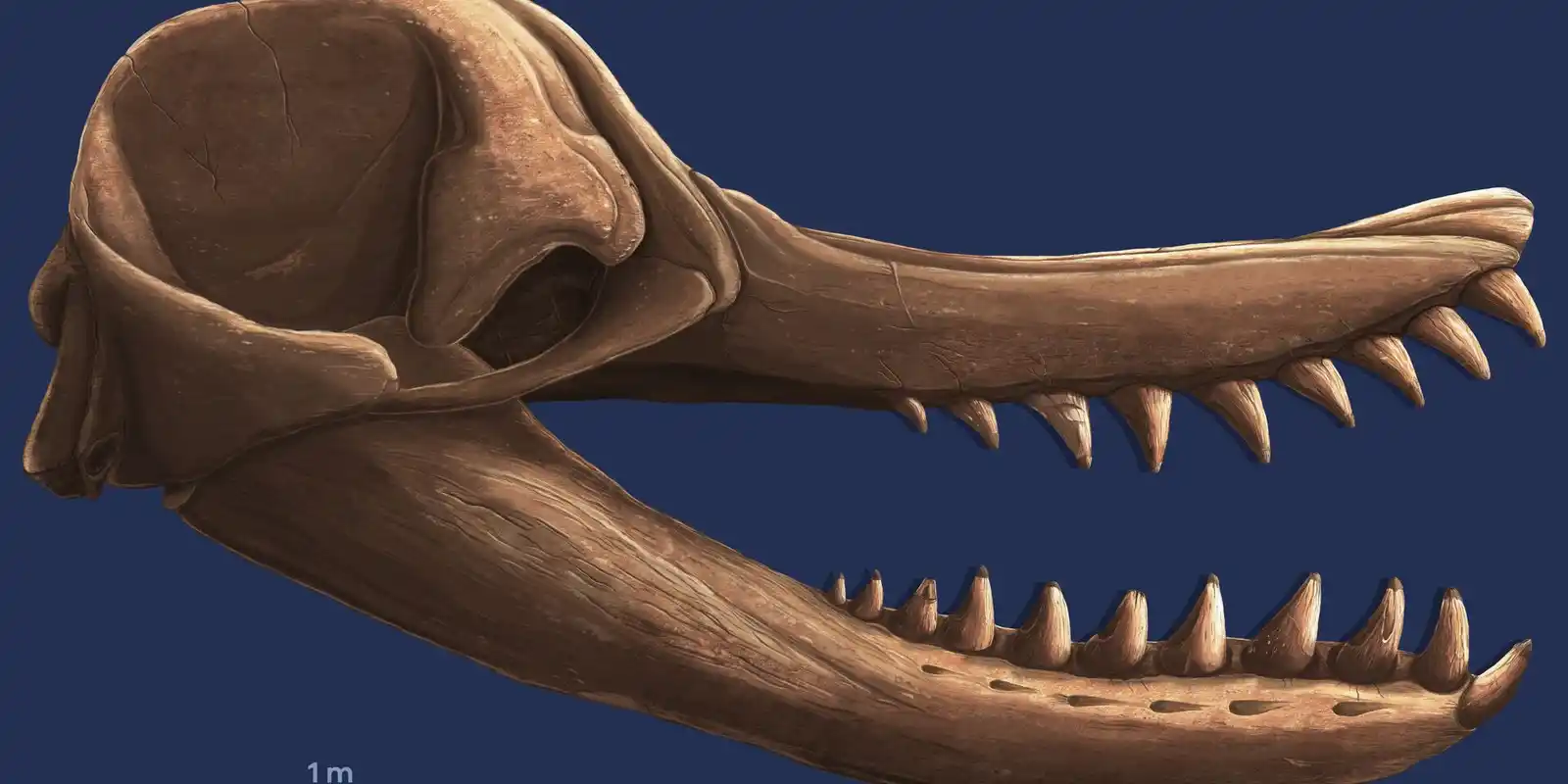 Prehistoric Bayside Open Day - Saturday June 27th: 2:30 pm - 5 pm session