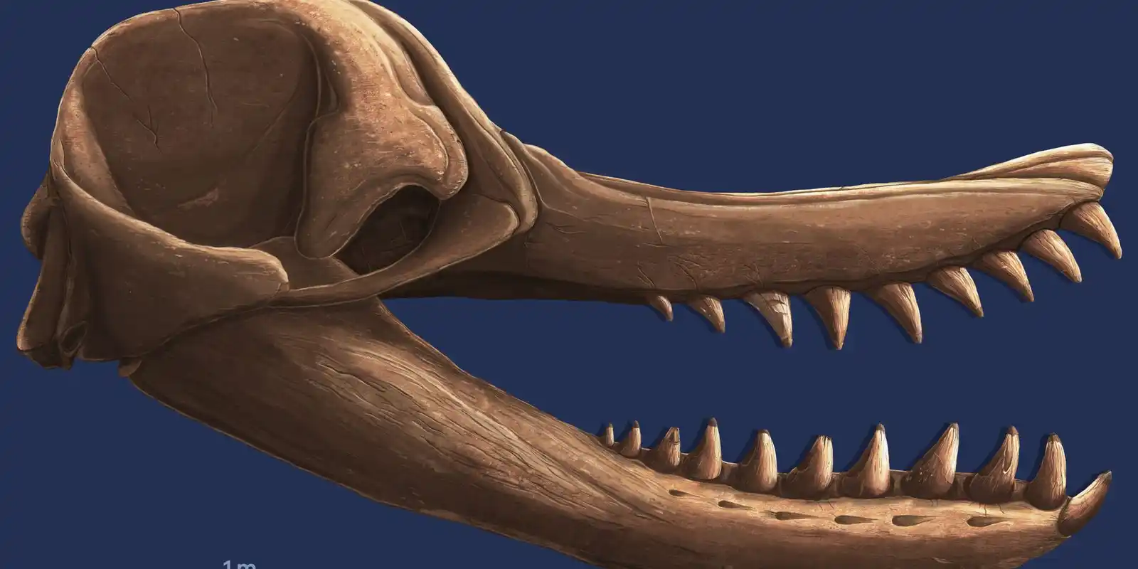 Prehistoric Bayside Open Day - Sunday 30th August 2026: 2pm - 5pm session