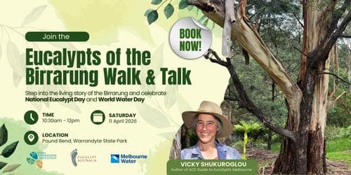 Eucalypts of the Birrarung Walk and Talk