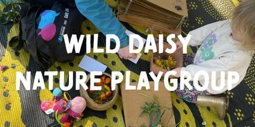 Wild Daisy Nature Playgroup - Term 4
