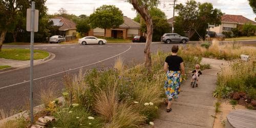 Design your Native Nature Strip