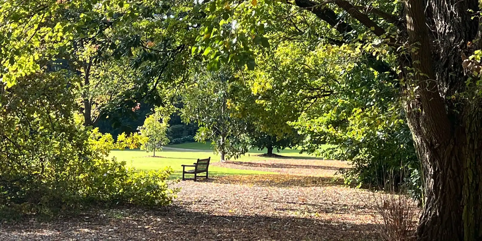 FREE Nature-based Wellbeing Sessions at Botanica Festival