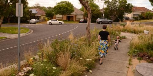 On the Verge: Creating a Native Nature Strip Garden