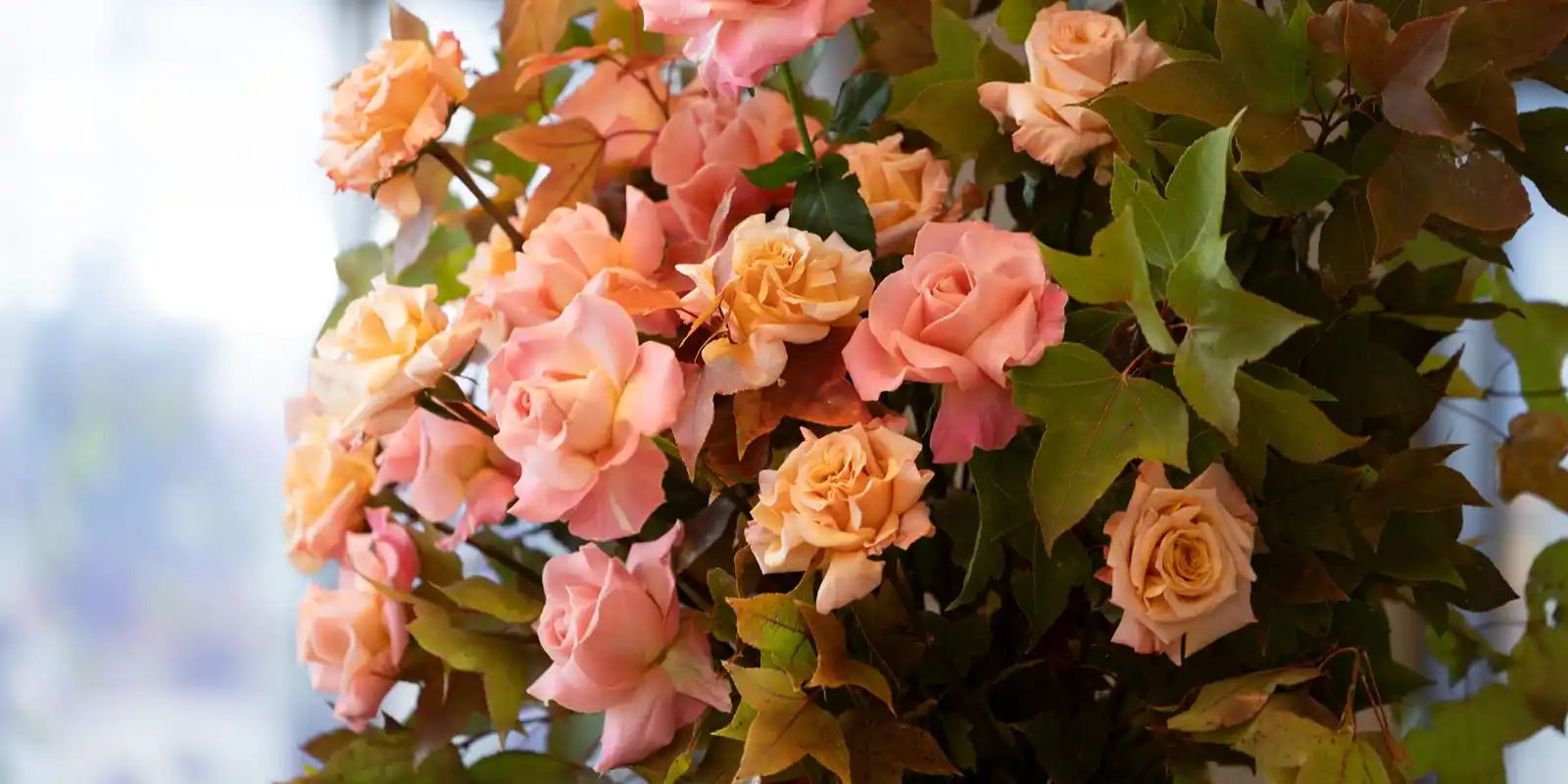 High Tea for Hope 2026