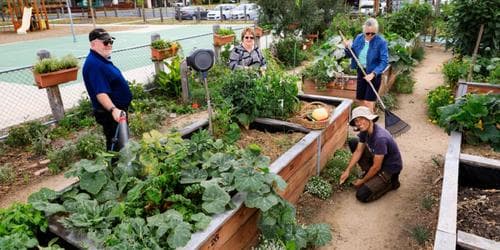 Gardens as Restorative Places with Sandra Schwarz