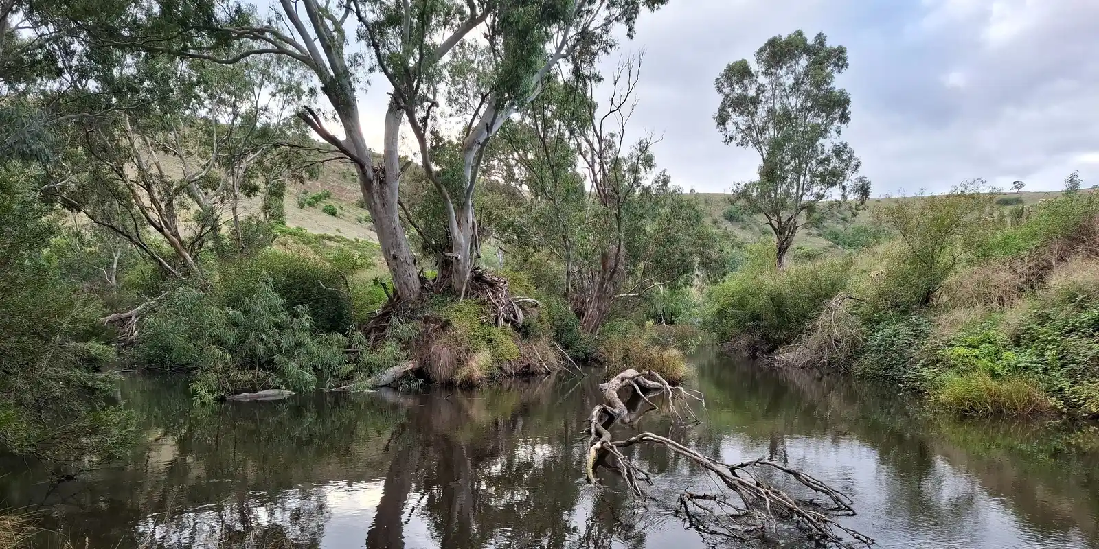 Maribyrnong River, Keilor Clean-Up