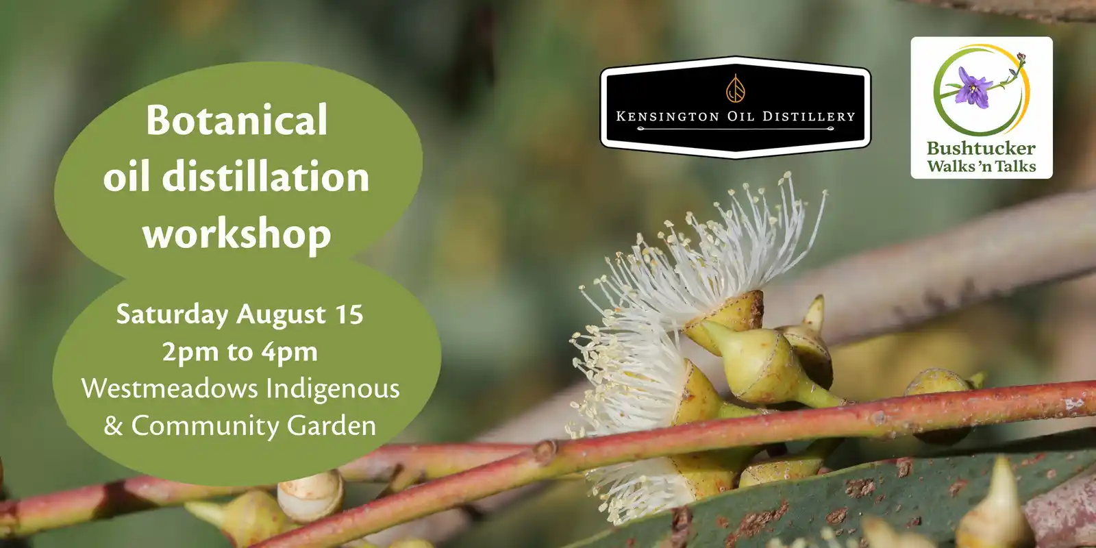 Botanical distillation workshop