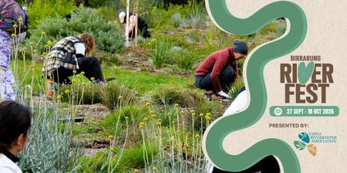 Restoring Birrarung Country