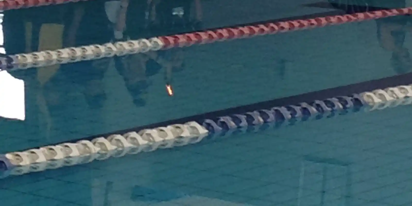 Melbourne West Regional Swimming competition