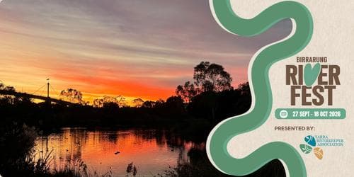 Citizen Science Microbat Introduction and Monitoring
