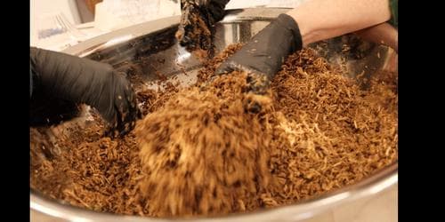 Tapestry of Culture –Regenerative Materials Workshop: Mycelium &amp; Hemp Coasters