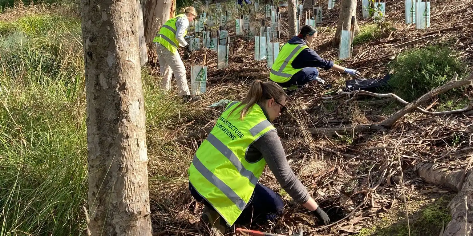 Volunteering at Nangak Tamboree