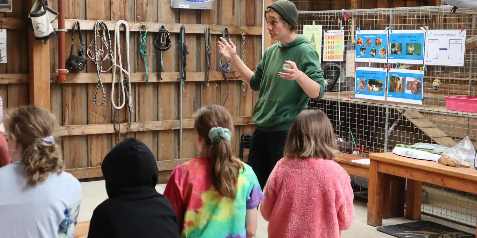 Actions for Animals (7 - 12 years) Winter