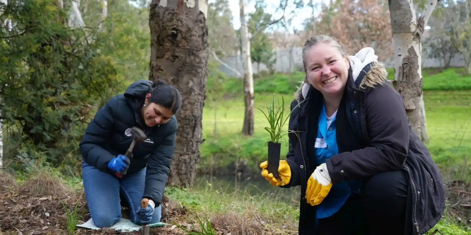 Brimbank National Tree Day at Kororoit Creek