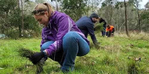 Come and try land management