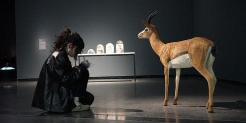 ACCA X MADA Publication Launch - The Second Studio: Drawing on Contemporary Art in the Gallery