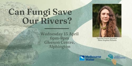 Mycoremediation: Can fungi help save our rivers?