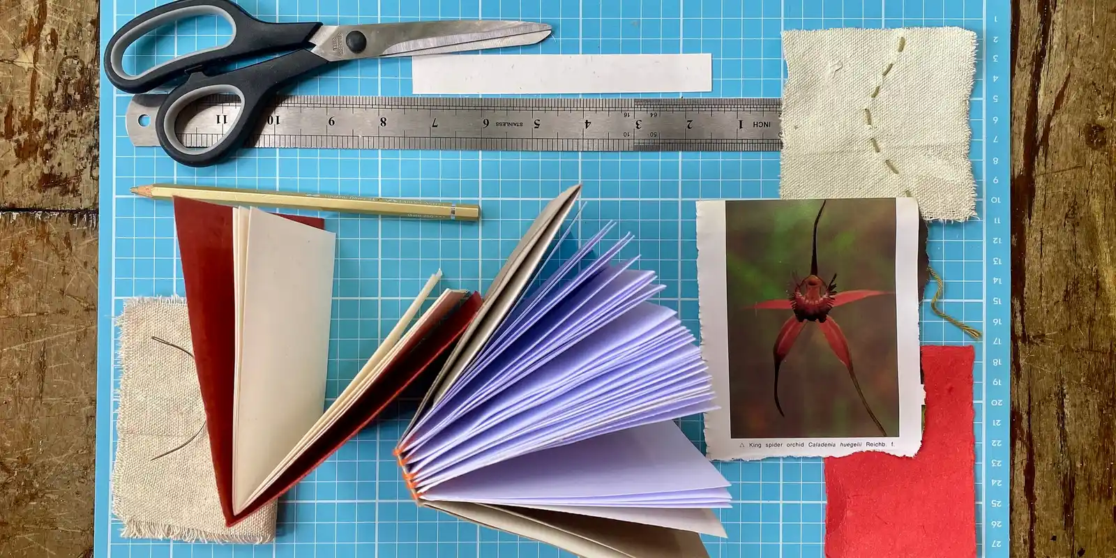 Book Making Series: From Seed To Flower